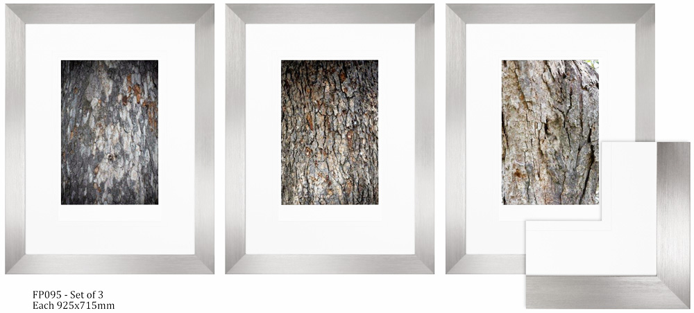 FP095 Wall décor art framed print set of 3 botanical silver frame